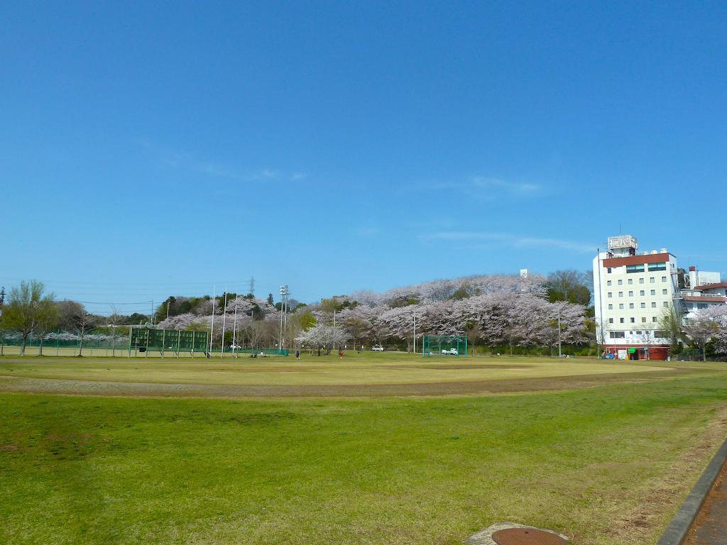 Hotel New Umeya Tsukuba Dış mekan fotoğraf